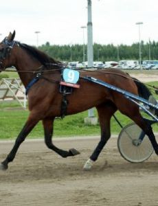 Pekka Korpi