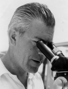 Alain Chabaud