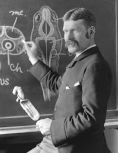 Robert Ramsay Wright