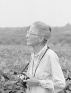 Louise Boyle