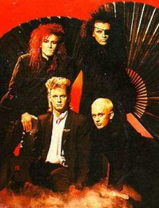 Dead or Alive