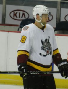 Stefan Schneider (ice hockey, born 1989)