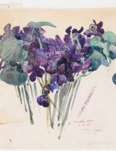 Alice Carmen Gouvy