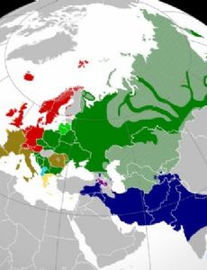 Indo-European languages
