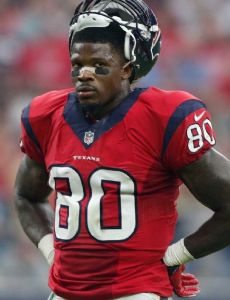 Andre Johnson