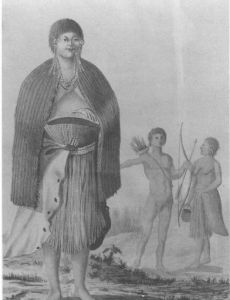 José Cardero