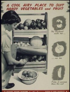 Bureau of Home Economics (US)