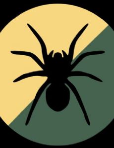 1st Intelligence, Surveillance and Reconnaissance Brigade