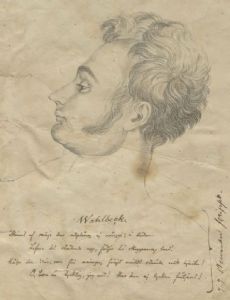 Henrik Johan Walbeck