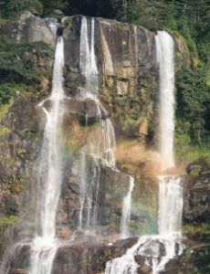 Udzungwa Mountains National Park