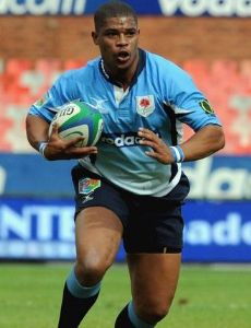 Wayne Julies