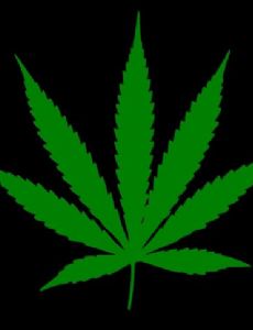 THC Ministry