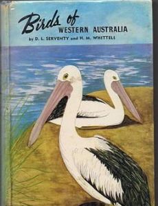 Birds of Western Australia