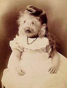 Alice Elizabeth Doherty