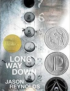 Long Way Down (book)