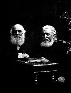 Ivan Naumovich