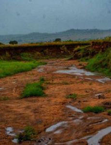 Intermittent river