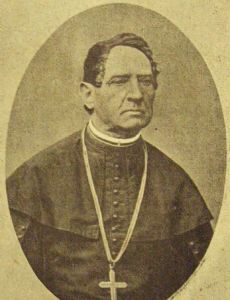 Ferenc Hüll
