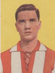 Guglielmo Burelli