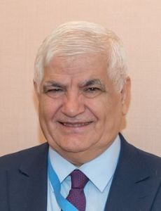 Mohammad Saber Ismail