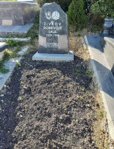 Dobrivoje Živkov