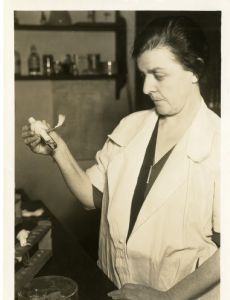 Agnes J. Quirk