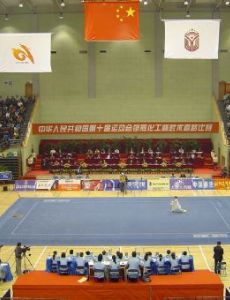 Wushu (sport)