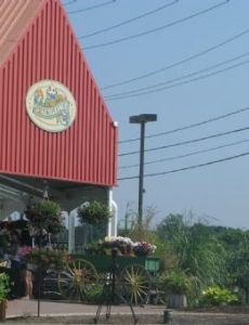 Springdale Farms