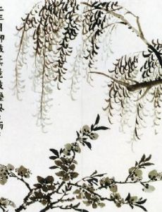 Jin Nong