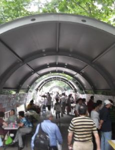 Shanghai marriage market