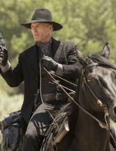 Westworld tv best sale series online