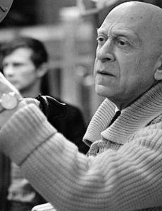 Vladimir Rapoport