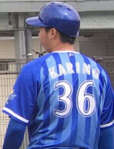 Yukikazu Karino
