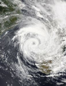 Cyclone Cheneso