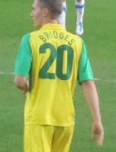 David Bridges