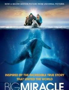 Big Miracle (book)