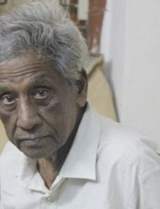 Shawkat Ali (Novelist)