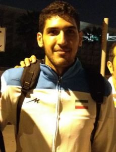 Mohammad Javad Manavinejad