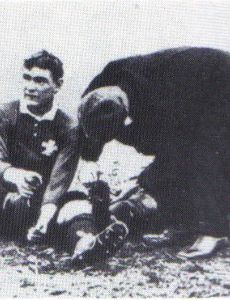Jack Williams (rugby player)