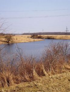 Malčius