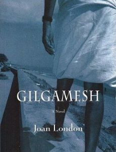 Gilgamesh (novel)