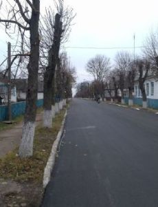 Narodychi