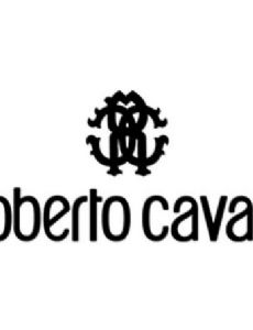 Roberto Cavalli (company)