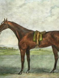Champion (horse)