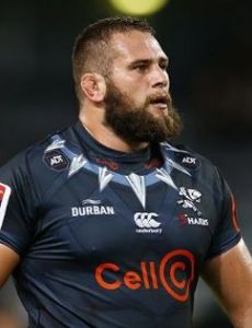 Thomas du Toit