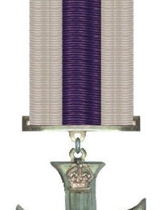 William Molesworth (aviator)