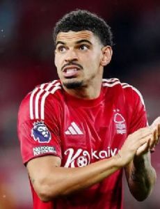 Morgan Gibbs-White