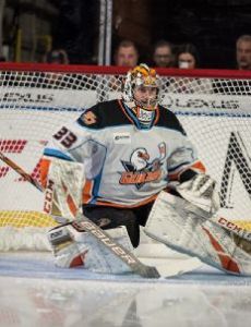 Kevin Boyle (ice hockey)