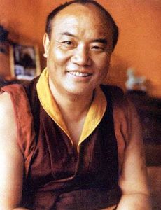 Rangjung Rigpe Dorje, 16th Karmapa Lama
