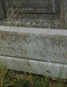 Gertrude Glorvina Doggett